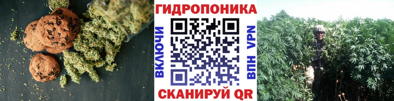 Печенье с ТГК марихуана  Наволоки 