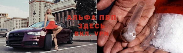 шишки Алзамай