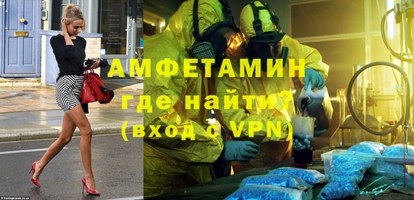 шишки Алзамай