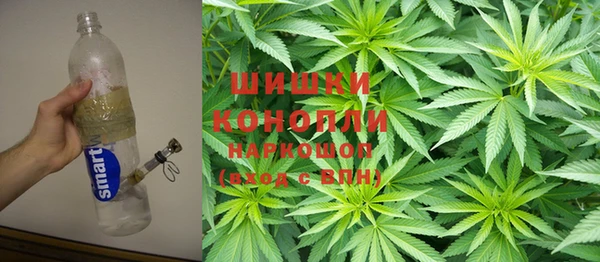 шишки Алзамай