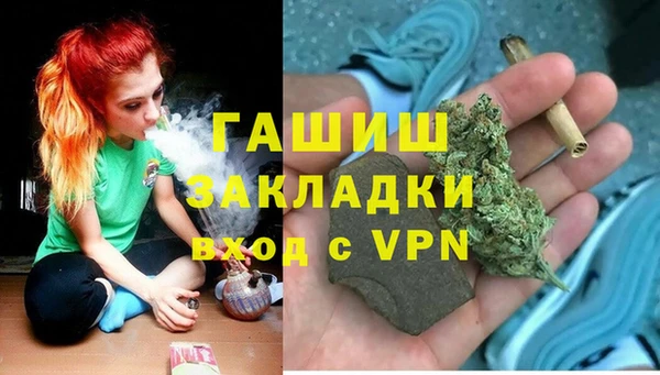 шишки Алзамай