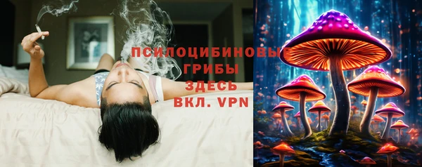 бошки Алексеевка