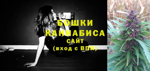 шишки Алзамай