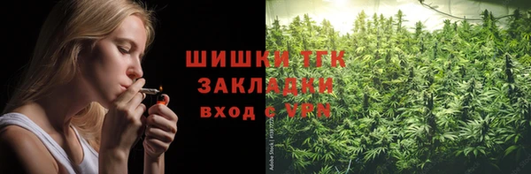 шишки Алзамай