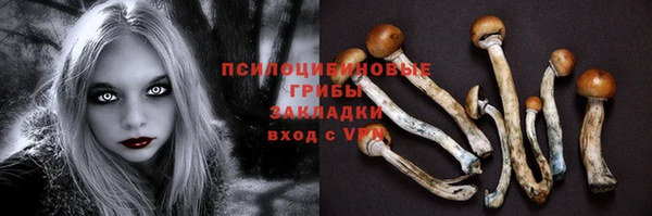 шишки Михайловка