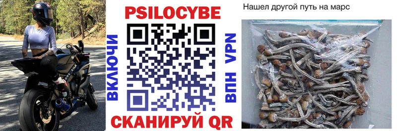 гидра   Наволоки  Галлюциногенные грибы мицелий 